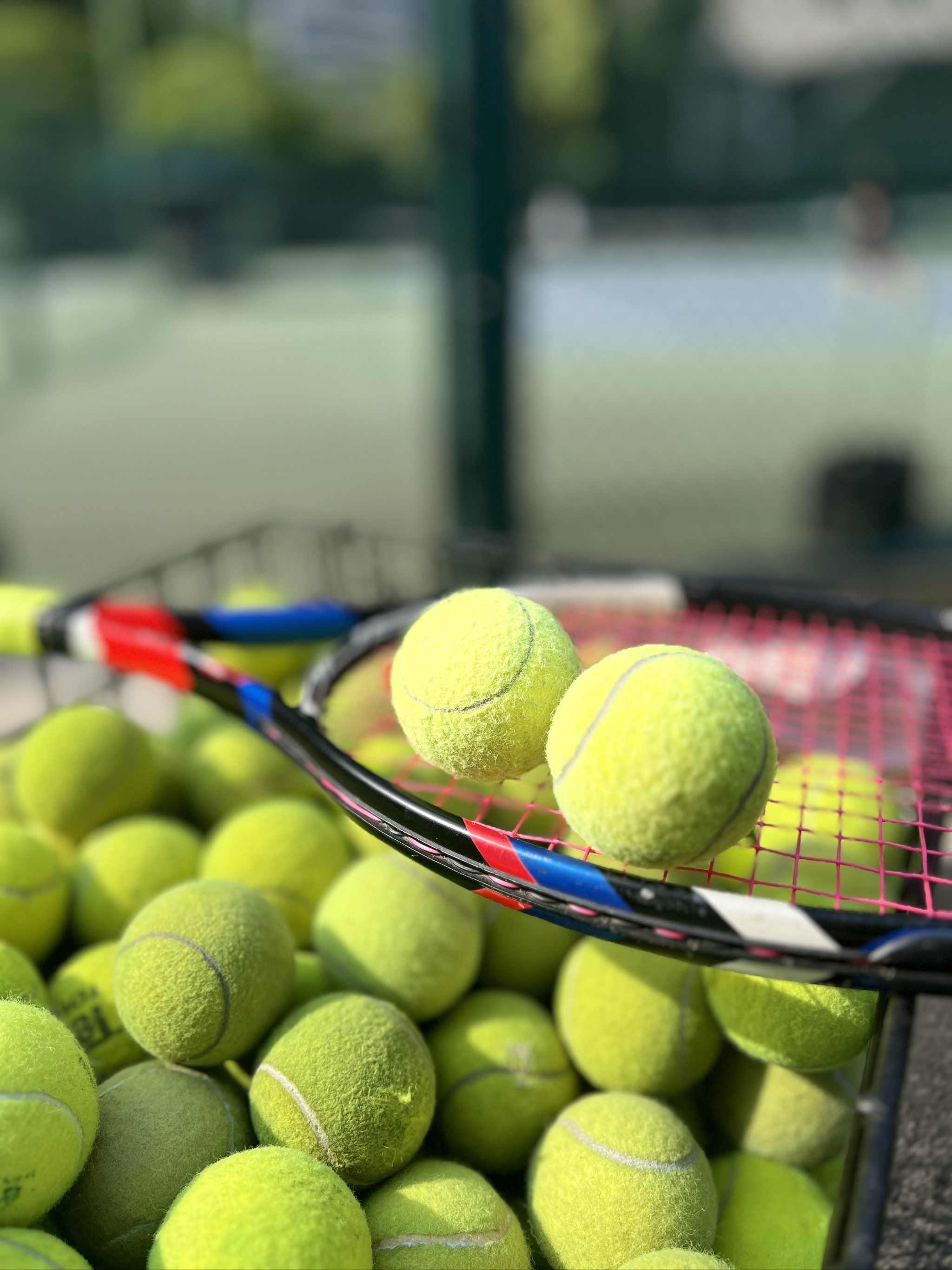 的动力源泉 的动力源泉